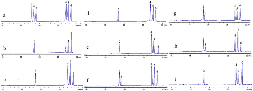 (a): GC profile of monosaccharide standards (1. Rha, 2. Ara, 3. Xyl, 4. Man, 5. Glc, 6. Gal). (b–i): GC profiles of the Patriniae polysaccharides extracted by WU, PCU, WPC, PU, WP, HW, CU, and WC methods.