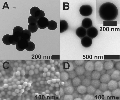 TEM (A) and SEM (C) micrographs of p(AA-BAC) core microgels, and TEM (B) and SEM (D) images of p(AA-BAC)/p(MEO2MA-OEGMA-APMA-BAC) core-shell microgels. Uranyl acetate 2 % solution was utilized to stain the particles intended for transmission electron microscopy (TEM).