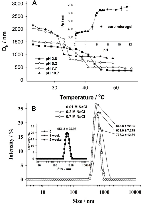 A - a plot of the hydrodynamic diameter (Dh) as a function of temperature for p(AA-BAC)/p(MEO2MA-OEGMA-APMA-BAC) core-shell microgel in different pHs. Inset A - hydrodynamic diameter for the core microgel measured at 20°C, as a function of pH. B - Size distribution of core-shell particles measured at different salt concentration at 37 °C. Inset B - size distribution of core-shell particles measured after different time interaction of CS microgel with 0.15 M NaCl at 37 °C.