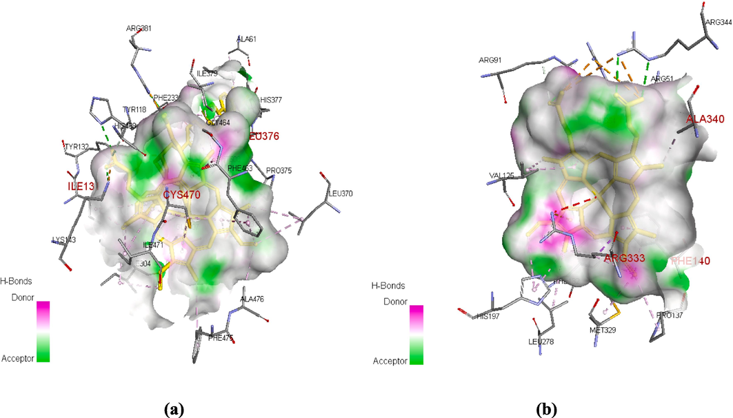 (a) The binding site of 5V5Z. (b) The binding site of 2CAG.