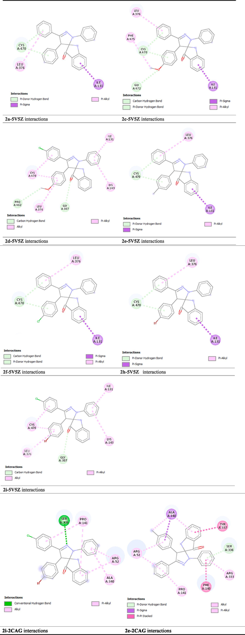2D Diagram of protein–ligand interactions.