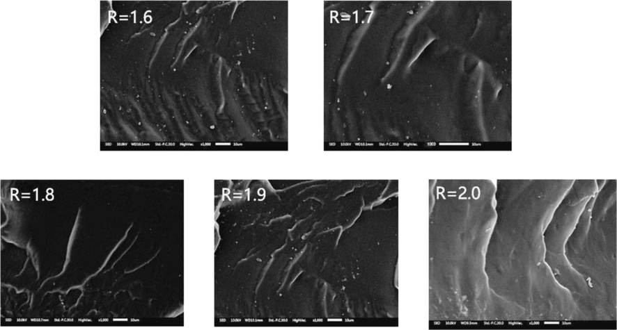 Scanning electron microscope with different r values.