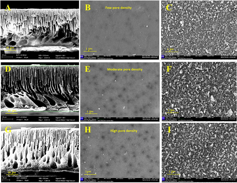 SEM surface and cross-sectional images of (A) M1 cross-section, (B) M1 surface, (C) M4 surface, (D) M7 cross-section, (E) M7 surface, (F) M11 surface, (G) M9 cross-section, (h) (M9) surface, (I) M13 surface.