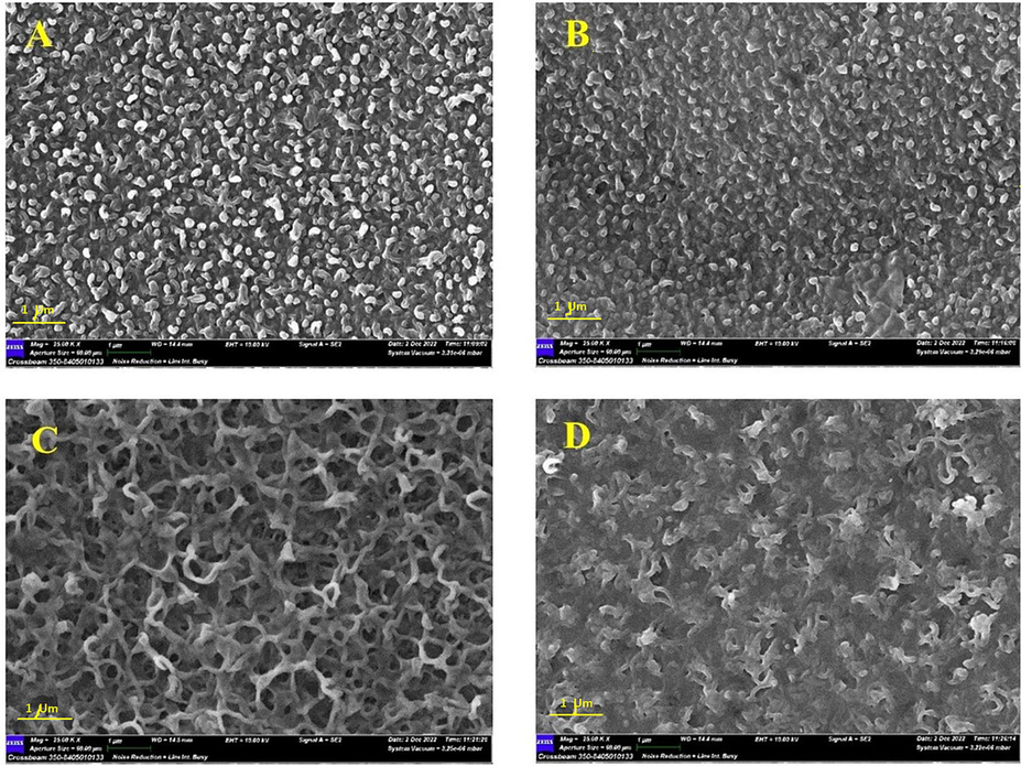 SEM surface images showing the impact of MAX phase addition in the aqueous and organic phase during the PA formation: (a) M15, (b) M17, (c) M19 and (d) M21.