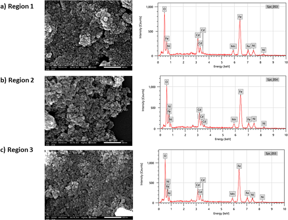 SEM images and EDX spectra of (Cd0.4Ni0.4Mn0.2)Fe2O4 NPs in 3 different regions.