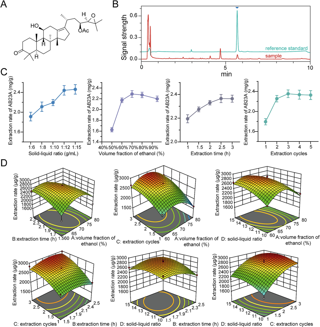 Structure, chromatograms, and extraction process optimization of Alisol B 23-acetate (AB23A). (A) The chemical structure of AB23A. (B) Chromatograms of the reference standard of AB23A and sample of AB23A. (C) Effect of different solid–liquid ratio, volume fraction of ethanol, extraction time and extraction cycles on the extraction rate of AB23A. (D) 3D response surface plots of the interaction of extraction time and volume fraction of ethanol, extraction cycles and volume fraction of ethanol, solid–liquid ratio and volume fraction of ethanol, extraction cycles and extraction time, solid–liquid ratio and extraction time, solid–liquid ratio and extraction cycles on the yield of AB23A.