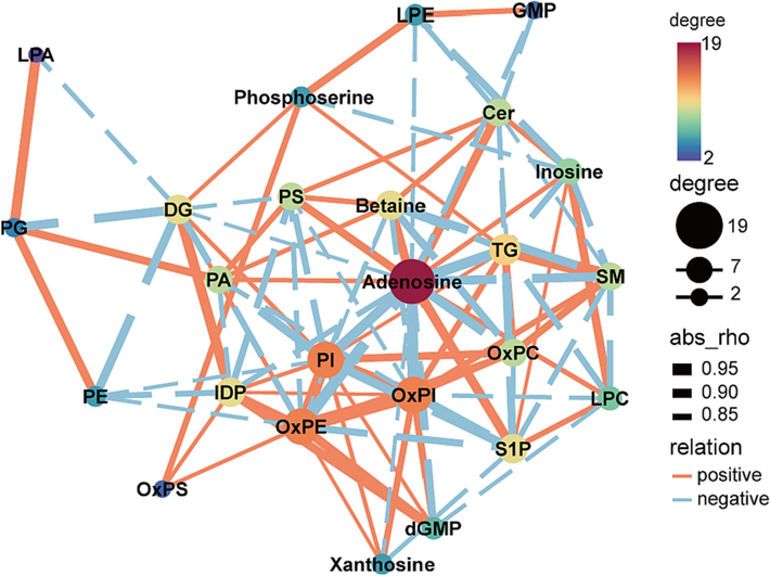 Correlation network diagram among key metabolites. The size of the circles represents the number of nodes, the thickness of the lines indicates the strength of the correlation. Orange solid lines represent positive correlations between metabolites, while blue dashed lines represent negative correlations.