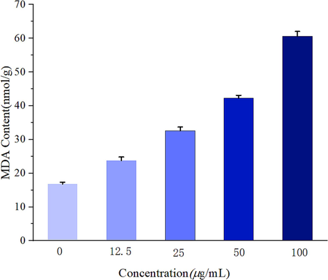 MDA content of Phomopsis sp after treatment with Z17.