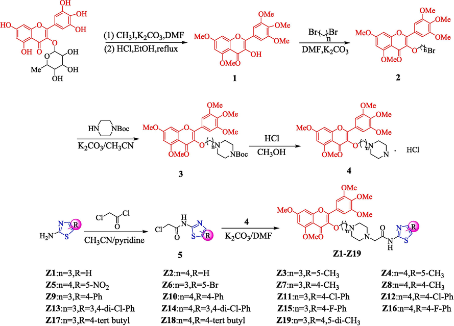 Synthetic route of compounds Z1-Z19.