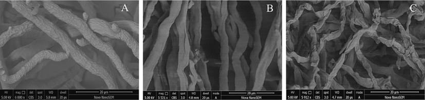 SEM images of the hyphae of Phomopsis sp after treatment with Z17. (A) 0 μg/mL, (B) 50 μg/mL, (C) 100 μg/mL. Scale bar for (A-C) are 20 μm.