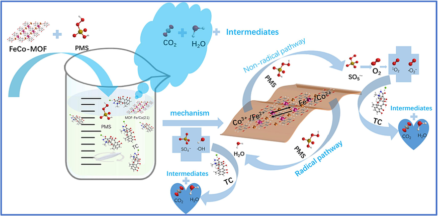 Schematic illustration of the reaction mechanismsof the FeCo − MOF/PMS system for TC degradation.