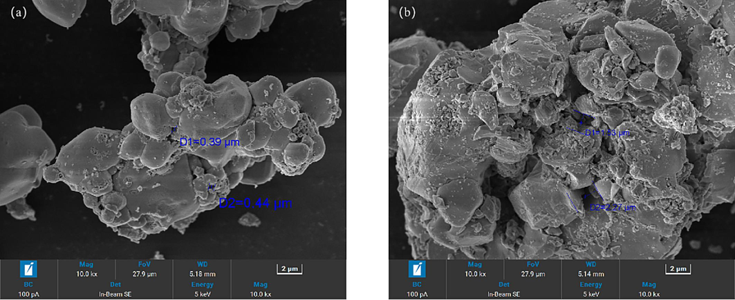 Conventional roasting slag(a) and microwave roasting slag(b).
