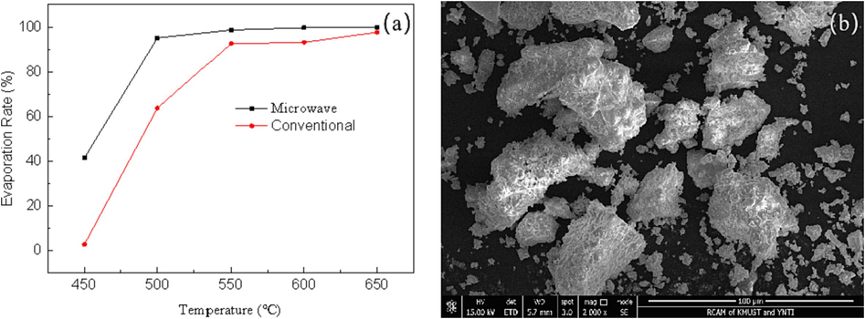 Mercury volatilization rate (a)and SEM analysis of roasting slag(b).