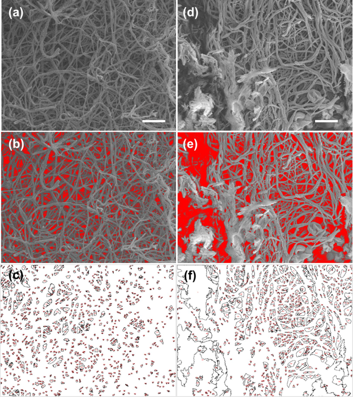 Gap analysis of the SEM image by ImageJ software of the fibrin clot network after adding AuNPs@PANI. The SEM image of the fibrin clot (a) in the dark; (d) after photolysis; (b, e) the threshold images reconstructed from the SEM images above; and (c, f) represent the drawing gap area of each image above, respectively.