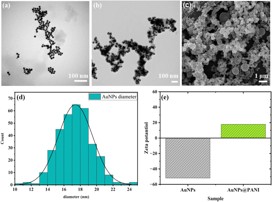 The TEM image for (a) AuNPs, and (b) AuNPs@PANI. (c) SEM image for AuNPs@PANI. (d) The statistic diameters based on TEM images of AuNPs. (e) Show Zeta potential for AuNPs and AuNPs@PANI core/shell.