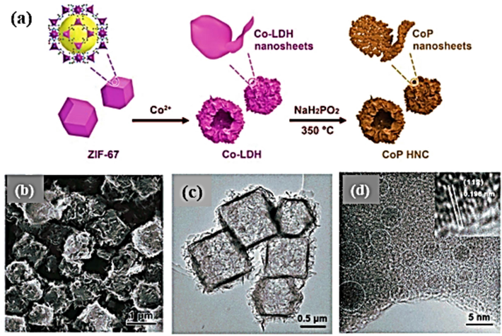 (a) The synthesis technique of CoP HNC is illustrated in a schematic. (b) An image obtained by HIM, (c) A TEM image of CoP, (d) An HRTEM image showing the edge of the nanosheet in CoP HNC. Reproduced with permission (Guo et al., 2018). Copyright 2018 Wiley-VCH.