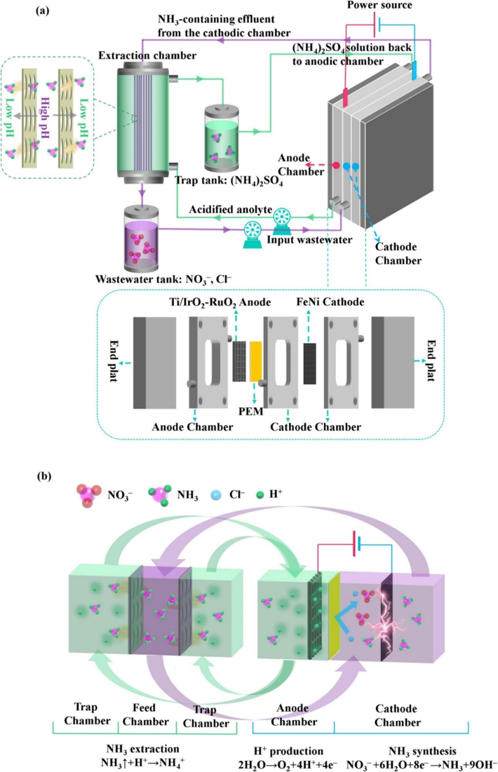 The schematic diagram illustrates the flow-through electrolysis cell that was employed, along with its operational principles (Shi et al., 2023). Copyright 2023, Elsevier.