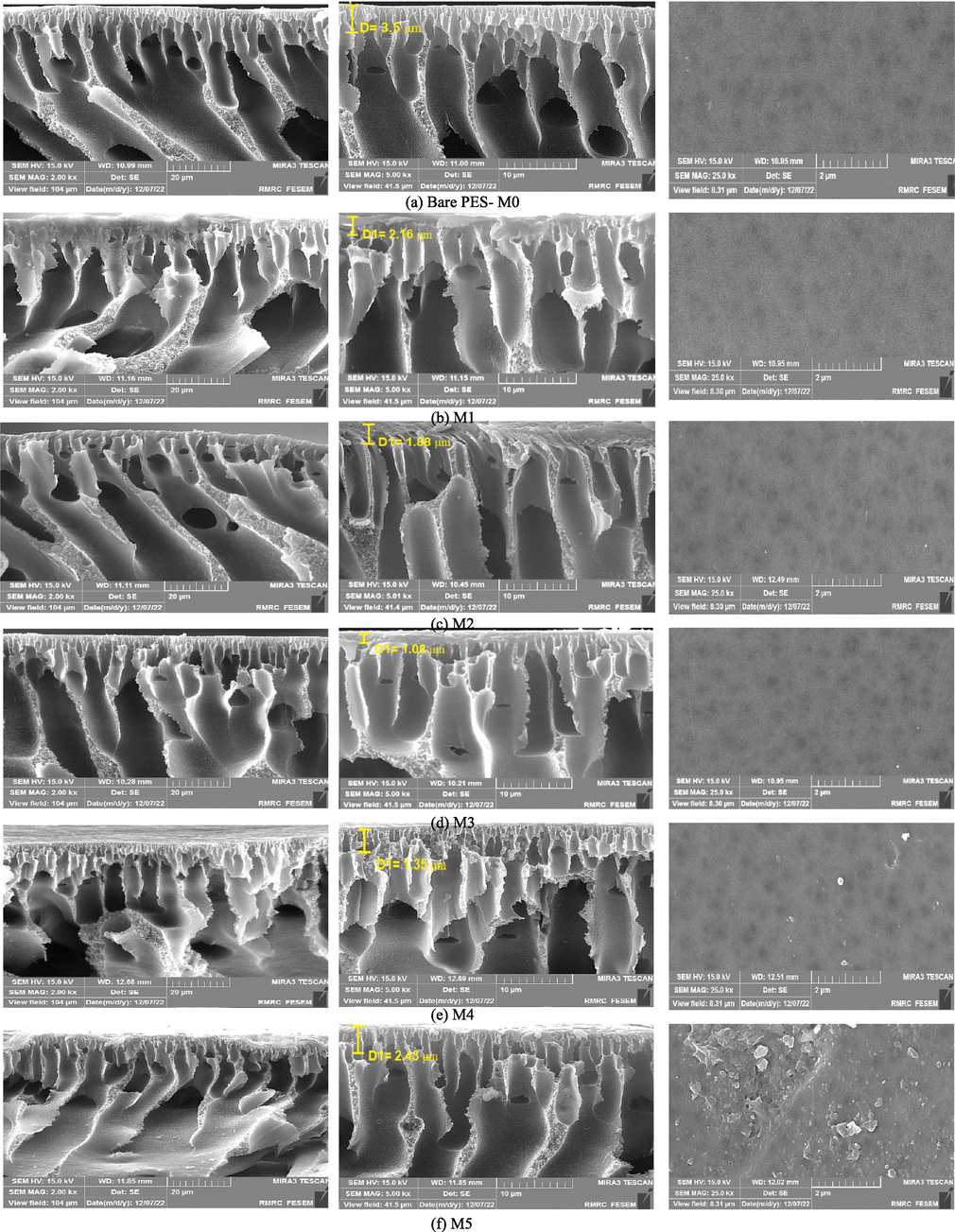 Surface and cross-sectional FESEM images for the pristine and ZIF-8@(AC-co-CS)/PES membranes.