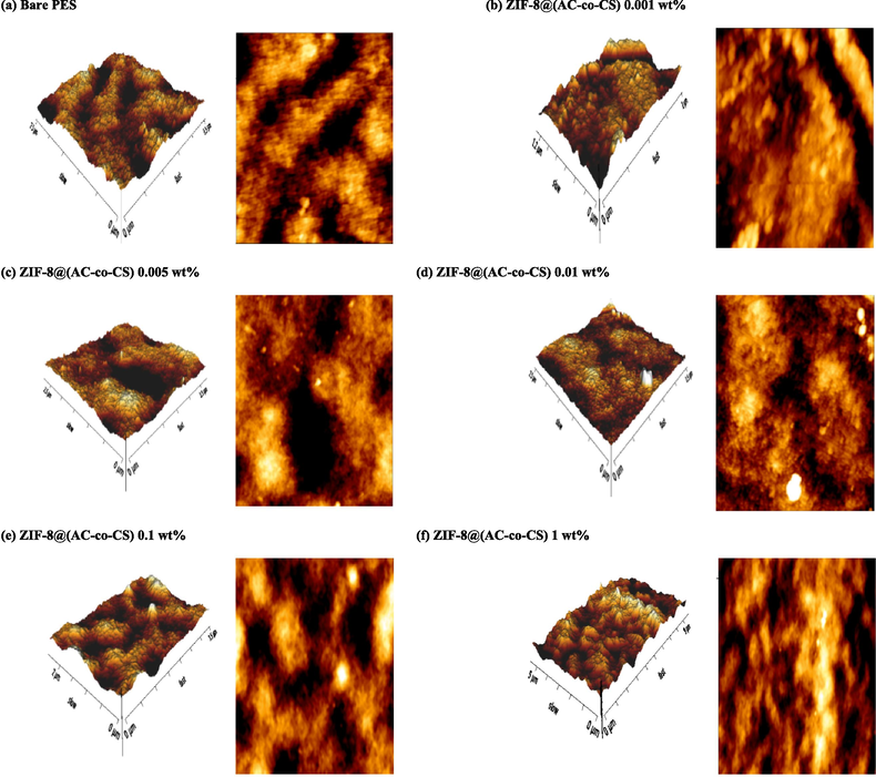 The AFM images depict the prepared membranes.