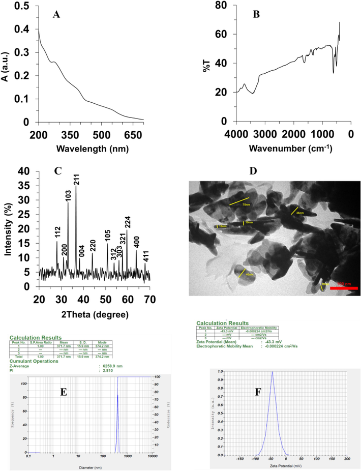 Characterization of Mn3O4 nanorods through the hydrothermal method. (A) UV–vis spectroscopy, (B) Fourier transform-infrared spectroscopy (FTIR), (C) X-ray diffraction (XRD), (D) TEM analysis, (E) Zeta-sizer analysis for hydrodynamic size determination, (F) Zeta-sizer analysis for zeta potential determination.