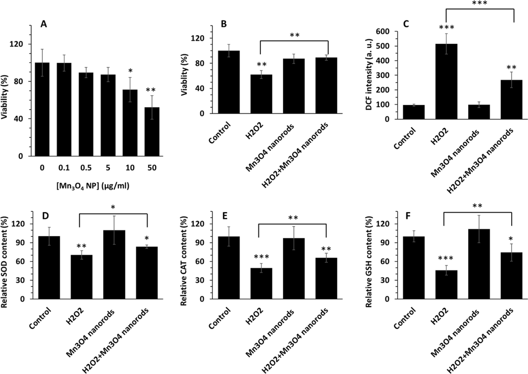 AC16 cell viability in the presence of varying concentrations of Mn3O4 nanorods (0.1–50 µg/mL) after 24 h, evidenced by MTT assay (A). Protective effects of Mn3O4 nanorods (5 µg/mL) against H2O2 (0.5 mM)- induced cytotoxicity in AC16 cells, measured by MTT assay (B). Cells were pretreated with Mn3O4 nanorods (5 µg/mL) for 18 h and then added by H2O2 (0.5 mM) for additional 6 h. ROS assay for determination of oxidative stress induced by H2O2 (0.5 mM) and the protective effects of Mn3O4 nanorods pretreatment, assessed by DCF fluorescence intensity measurement (C). The contents of SOD (D), CAT (E), and GSH content (F) in AC16 cells treated with different samples, analyzed by ELISA assay. *p < 0.5, **p < 0.01, ***p < 0.001.