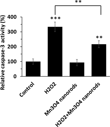 Caspase-3 activity assay in AC16 cell treated with H2O2 (0.5 mM) for 6 h, Mn3O4 nanorods for 24 h, or pretreated with Mn3O4 nanorods (5 µg/mL) for 18 h and then added by H2O2 (0.5 mM) for additional 6 h. **p < 0.01, ***p < 0.001.