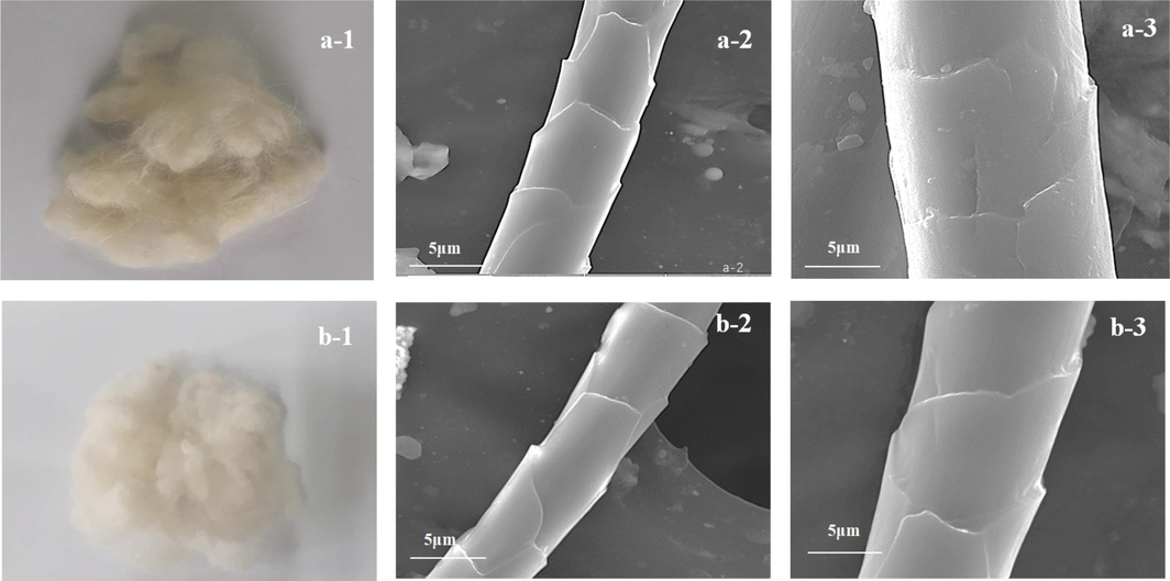 Control cashmere fiber samples (a-1) before bleaching and SEM images at a magnification of (a-2) × 3000 and (a-3) × 5000; (b) Supercritically bleached fibers at a temperature of 55 °C and a pressure at 18.0 MPa for 90 min with the optimized working solution in the (b-1) SCF-CO2 system and the SEM images at a magnification of (b-2) × 3000 and (b-3) × 5000.