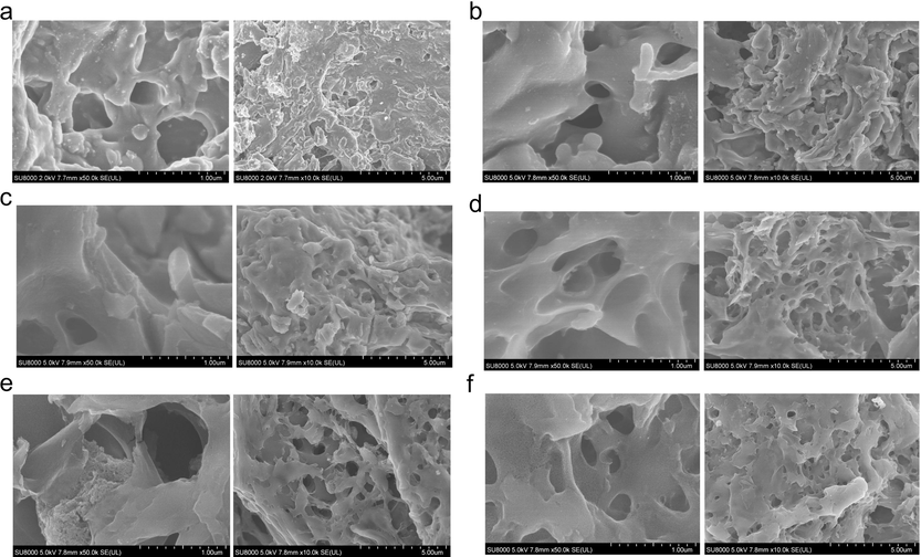 SEM images of (a) BC, (b) S4BC-500, (c) S4BC-600, (d) S4BC-700, (e) S4BC-800 and (f) S4BC-900