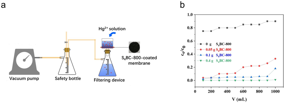 (a) Membrane filtration system, (b) Hg2+ removal performance of S4BC-800 /PVDF membrane