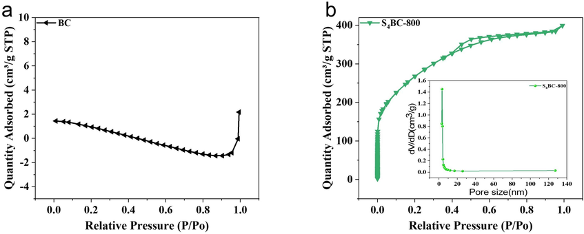 N2 adsorption–desorption isotherms of (a) BC and (b) S4BC-800, and (inset of b) pore size distributions of S4BC-800