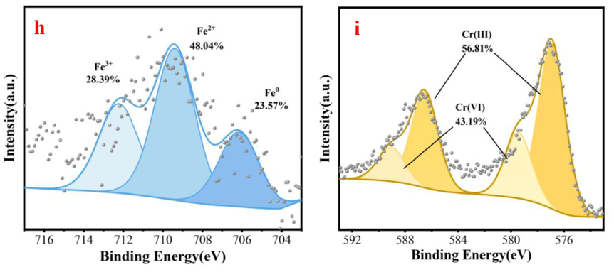 SEM-EDS analysis after Cr(Ⅵ) adsorption (a), XPS survey spectra of the N/Fe-CNTs after adsorption Cr(Ⅵ)(b), C 1 s spectra analysis before and after Cr(VI) adsorption(c-d), N 1 s spectra analysis before and after Cr(VI) adsorption(e-f), Fe 2p spectra analysis before and after Cr(VI) adsorption (g-h) and Cr 2p spectra analysis is elucidated (i).