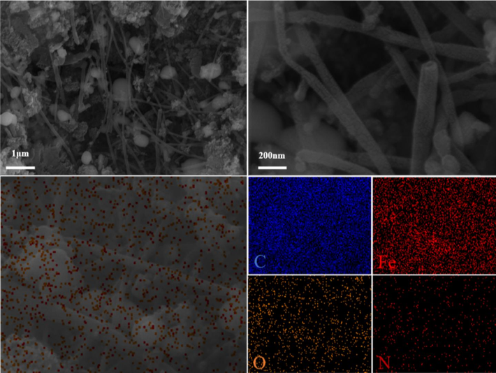 SEM micrographs (a-b) and EDS (c-d) of the N/Fe-CNTs.