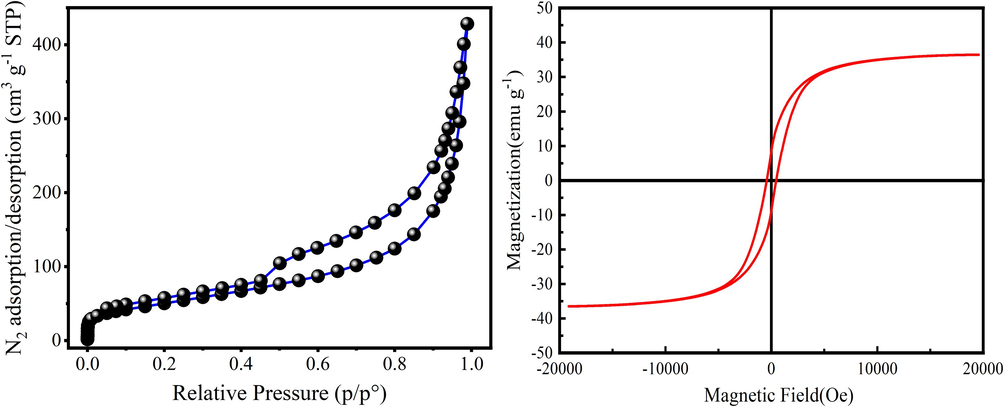 N2-adsorption–desorption isotherm of N/Fe-CNTs (a) and the hysteresis loop of the N/Fe-CNTs (b).