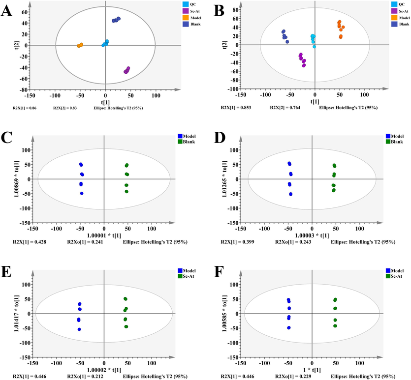 PCA and OPLS-DA plots (A, PCA plots of groups in feces in positive mode; B, PCA plots of groups in feces in negative mode; C, OPLS-DA plots of blank and model groups in positive mode; D, OPLS-DA plots of blank and model groups in negative mode; E, OPLS-DA plots of Sc-At and model groups in positive mode; F, OPLS-DA plots of Sc-At and model groups in negative mode).