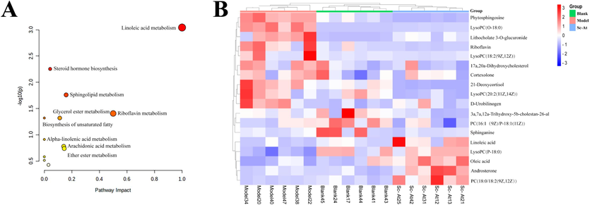 Differential metabolites in feces by untargeted metabolomics (A, KEGG pathway for differential metabolites; B, Heat map of three groups of differential metabolites in feces).