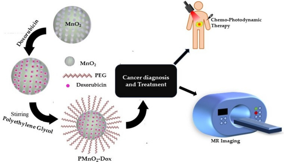 Schematic diagram of synthesis, chemo-photodynamic therapy and MRI application.