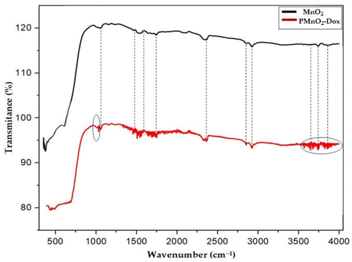 FTIR of MnO2 NPs and PMnO2-Dox NPs.