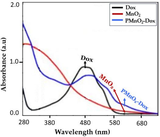 UV–visible of free Dox, MnO2 NPs and PMnO2-Dox NPs.