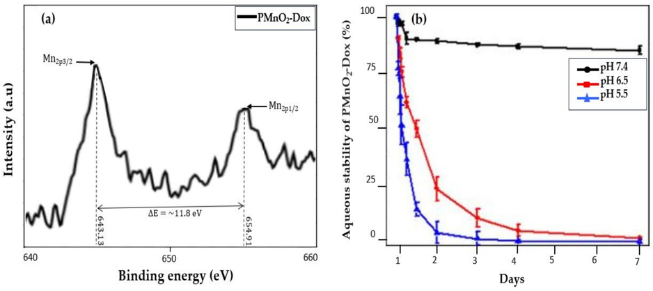 (a) shows the XPS analysis and (b) shows the aqueous stability of PMnO2-Dox NPs over a period of one week, (n = 3 ± S.D).