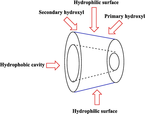 Structure representation of native β-CD.