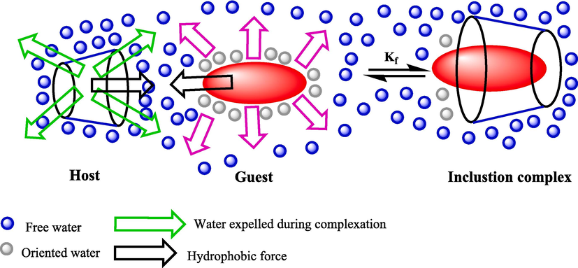 The construction of an inclusion complex between β-CD and a guest molecular.