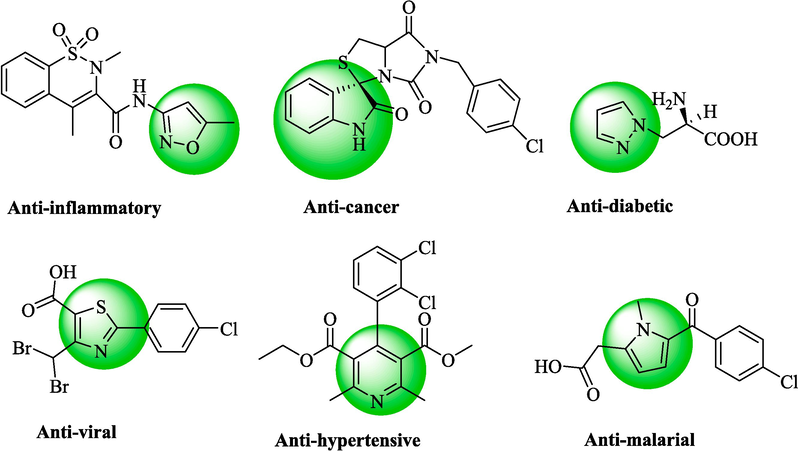 Some structures of the biologically active fused heterocycles.