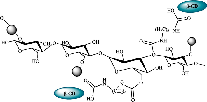 The structure of β-CD-IL@M starch.