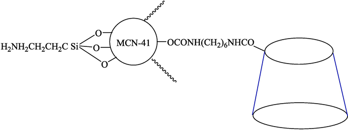 The structure of MCM-41-β-CD.NH2.