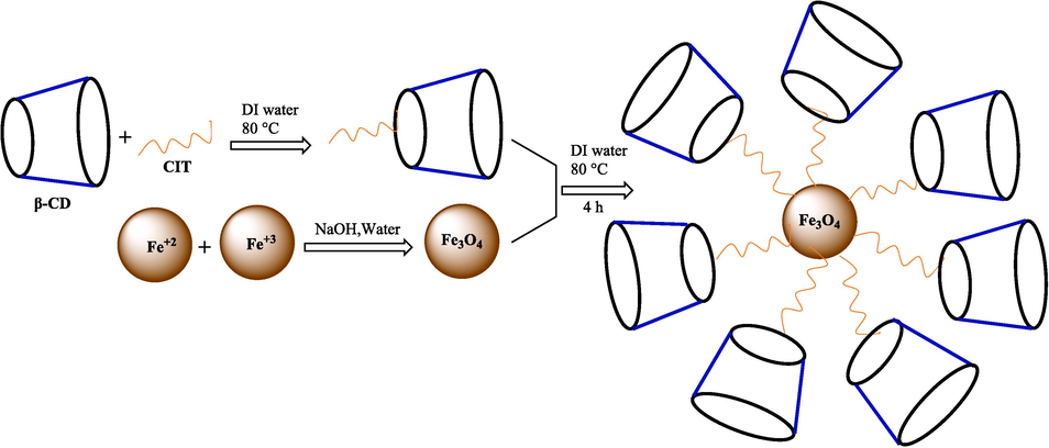 The provision of Fe3O4@CD-CIT.