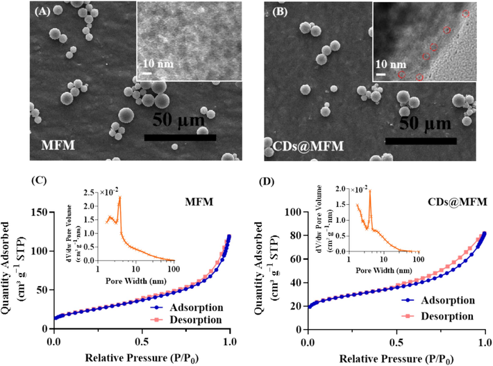 Characterization of the materials. (A∼B) SEM images and HRTEM images. (C∼D) Nitrogen adsorption–desorption isotherms and pore size distribution.