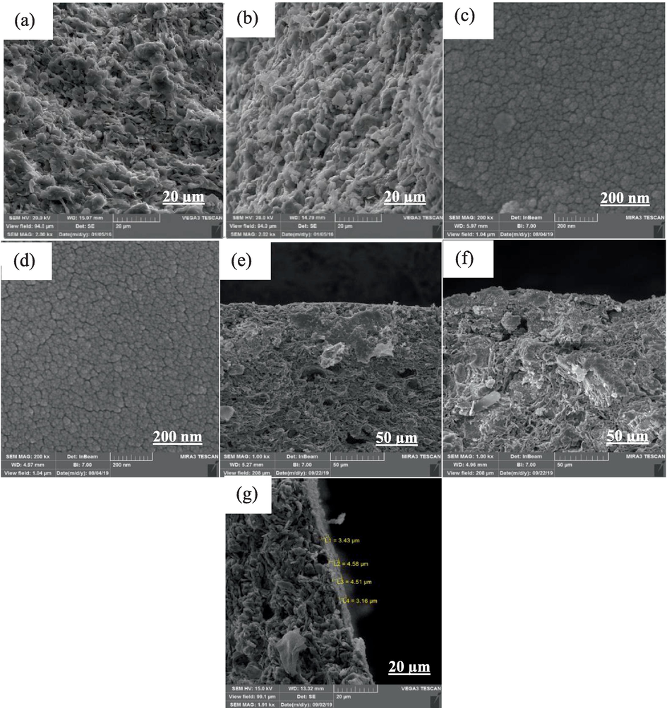 SEM images (a) mullite support, (b) mullite-alumina support, (c) top layer of TiO2 membrane, (d) top layer of TiO2- ZrO2 membrane, (e-f) cross-sectional area of ​​MTZ and MATZ membranes with 1 kx magnification, (g) cross-sectional area of ​​MTZ membrane with 1.91 kx magnification.