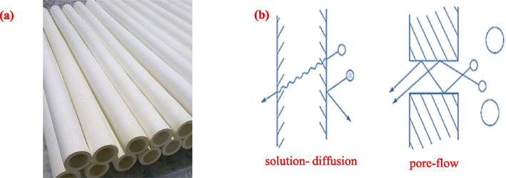 (a) Tubular porous supports made by extrusion method, (b) two proposed models for molecular transport across membranes.