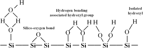 Surface hydroxyl species of silicon dioxide.