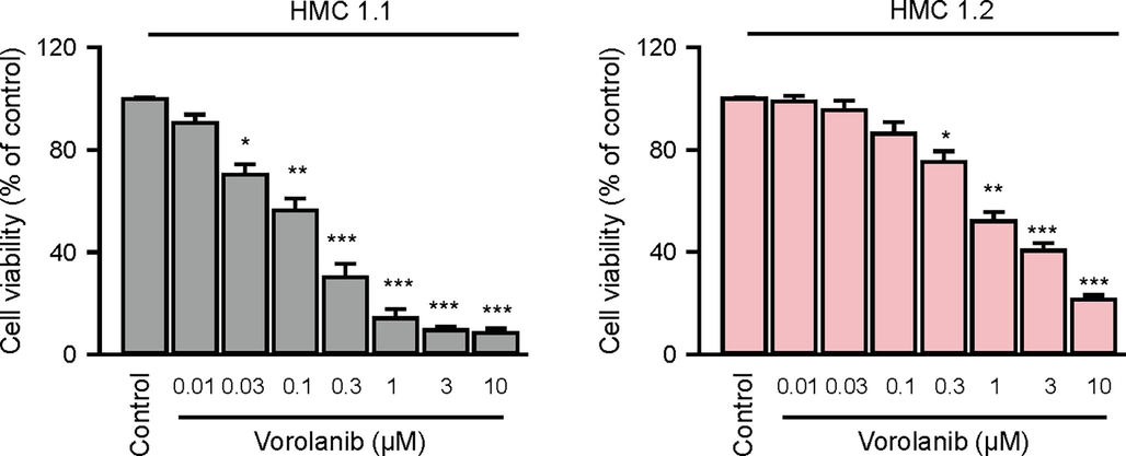 In vitro validation of virtual screening. The cytotoxic effects of effects of Vorolanib, the top-scored compound, on HMC1.1 and HMC1.2 cell line was measured by CCK-8 assay. The pooled data was visualized as mean ± S.E.M of four independent experiments. The one-way ANOVA and Tukey post-hoc test were employed for statistical analysis. *: <0.05, **: <0.01, ***: <0.001.